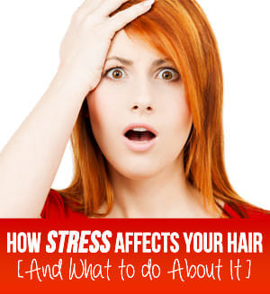 We run into this all the fourth dimension inwards our ain lives together with those of our friends  How Stress Affects Your Hair [And What to practise About It]