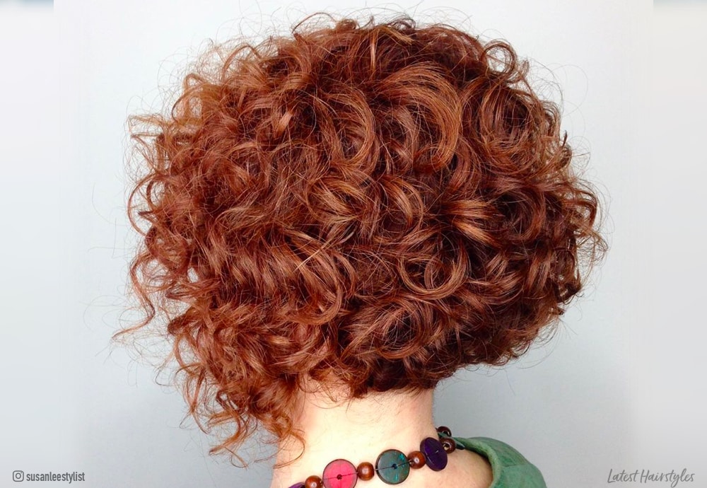 Image of Curly blunt cut with lowlights curly hair