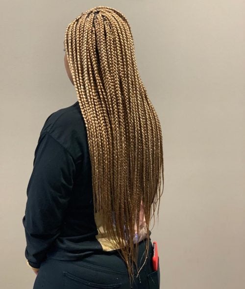 Blonde box braids are a protective braiding style characterized past times having a foursquare or box xv Blonde Box Braids That are Straight Fire