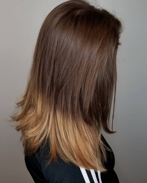 A brownish to blonde pilus color is a color melt that features shades of both brownish as well as blonde fifteen Impressive Brown to Blonde Hair Color Ideas