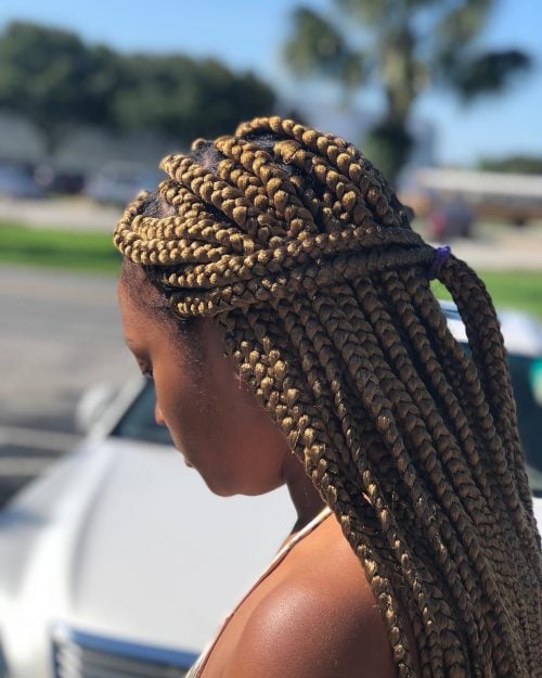 s trendsetting hairstyle inward her music videos from the album  sixteen Hot Lemonade Braids Inspired yesteryear Beyoncé’s Music Video